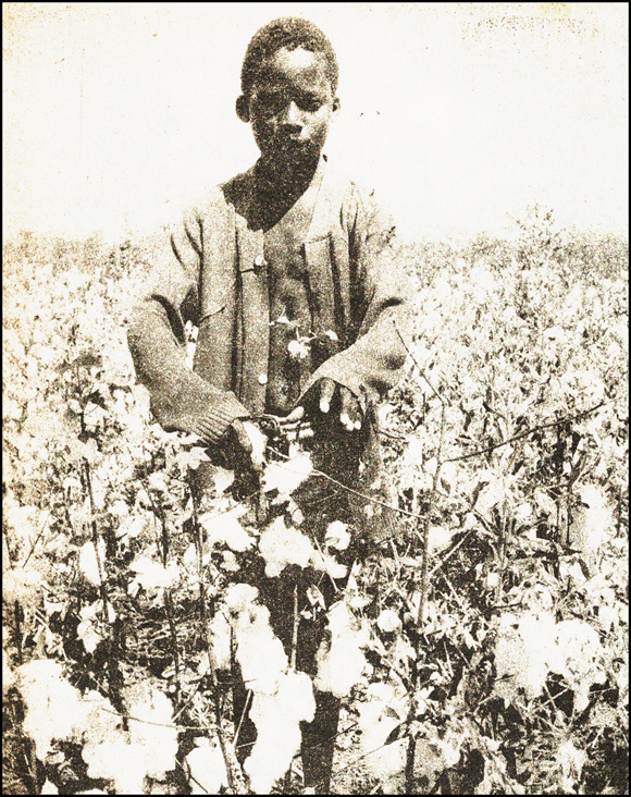 Child labour, cotton