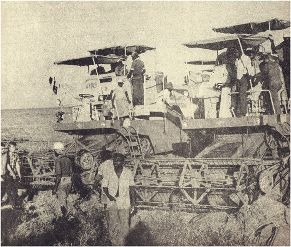 Combine harvesters at CAIL, Mozambique, 1982
